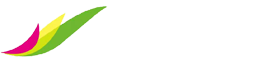 企业通用模版网站