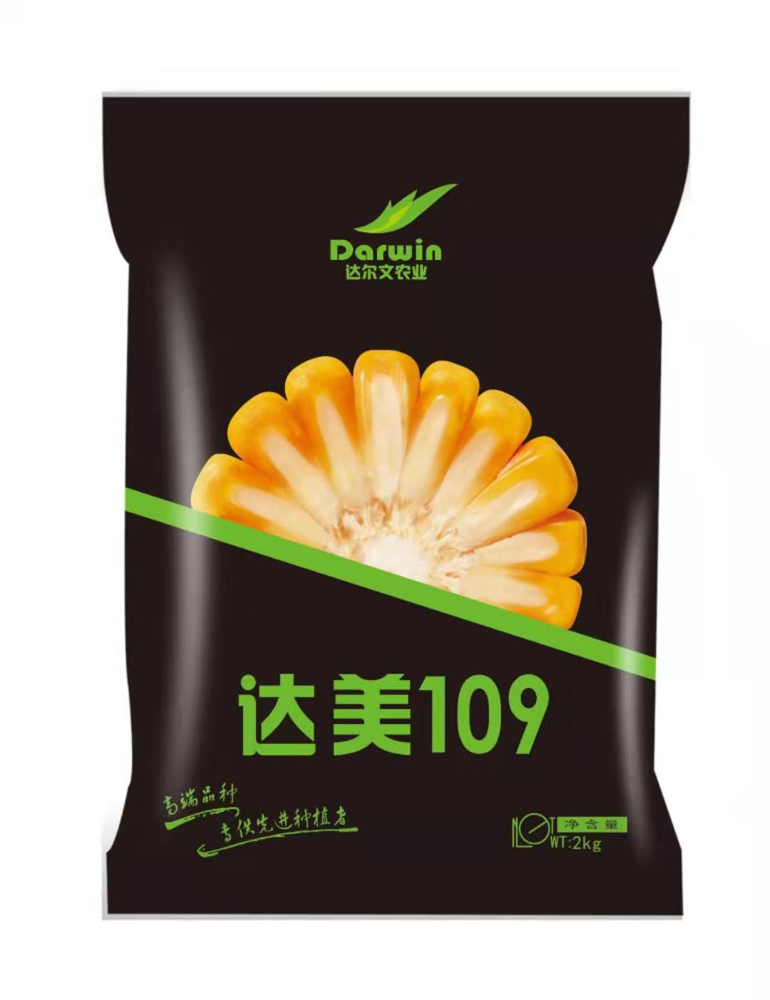                      达美109