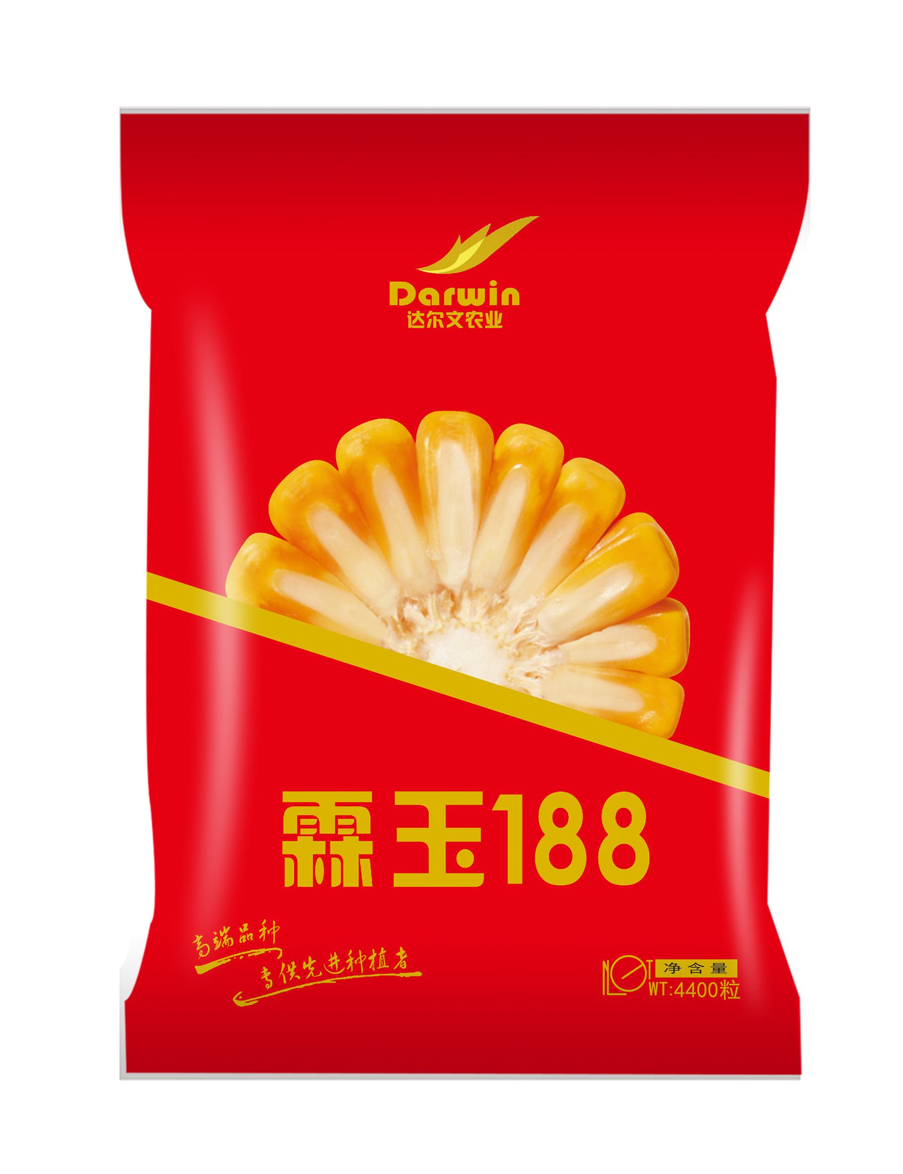                          霖玉188