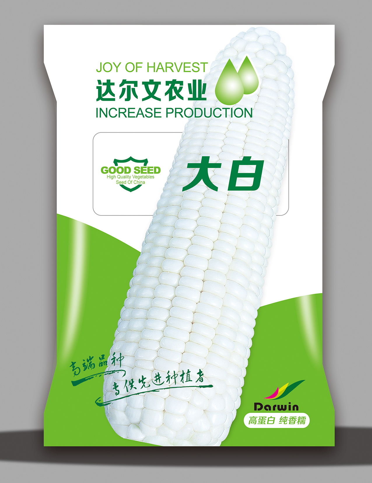 大白