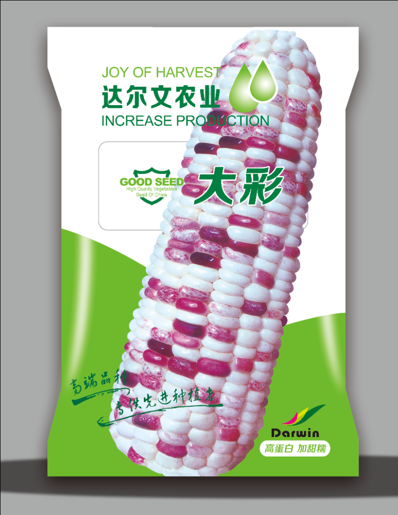 大彩
