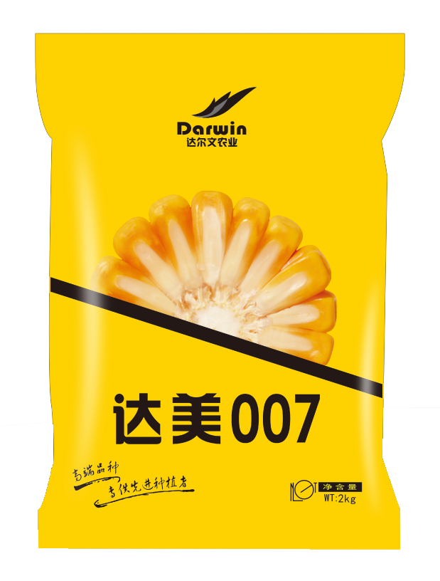 达美007
